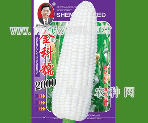 金科糯2000
